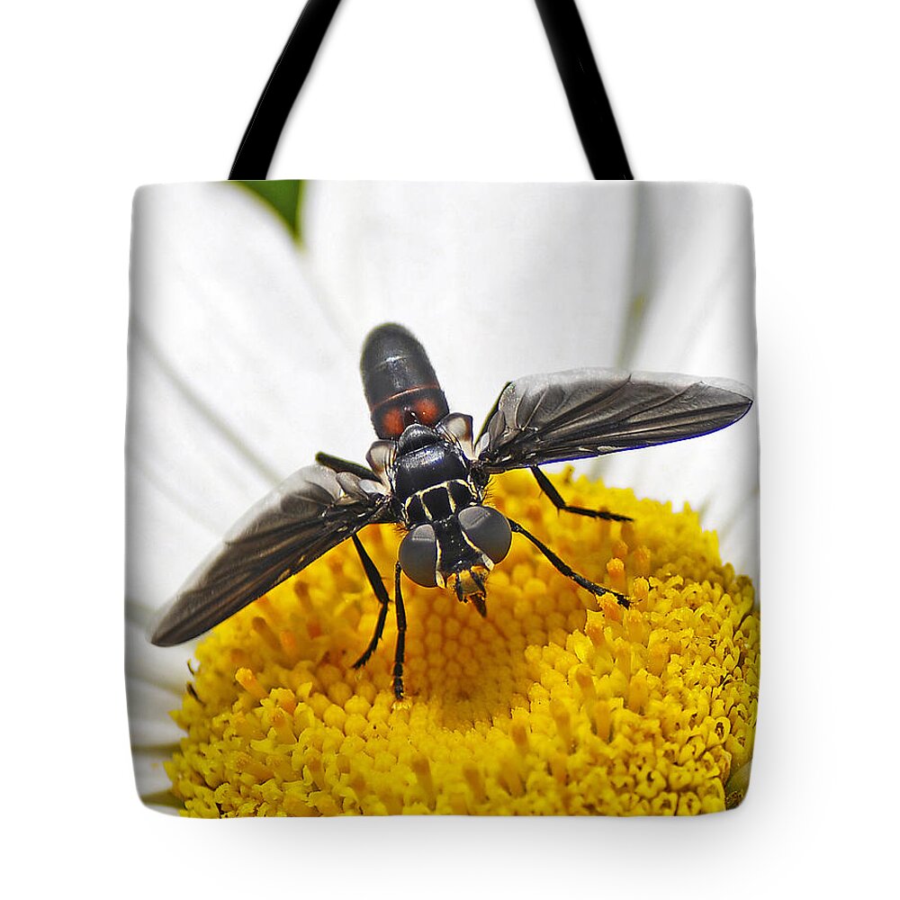  Fly Tote Bag featuring the photograph This Is My Flower by Rodney Campbell