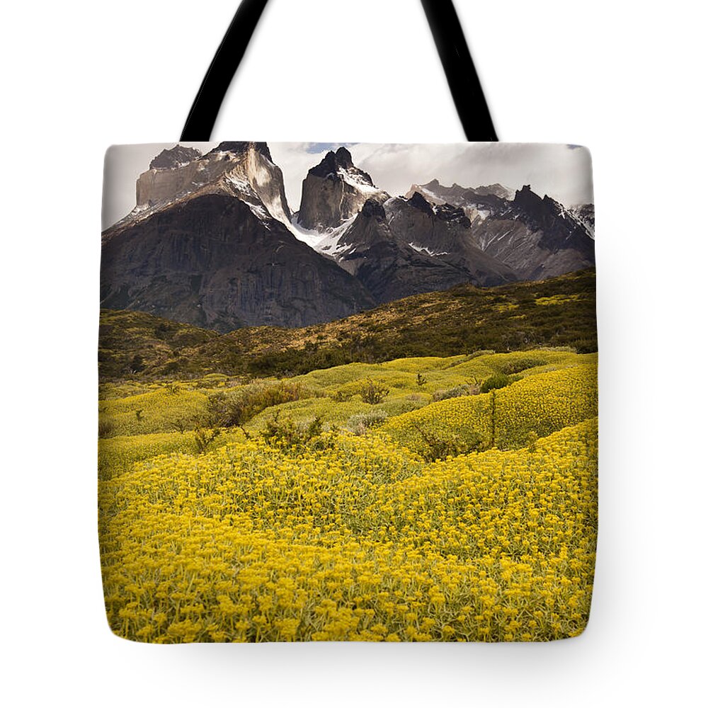 00451389 Tote Bag featuring the photograph Thorny Matabarrosa Flowers In Torres by Colin Monteath