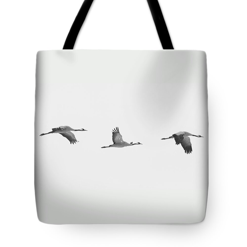 Common Crane Tote Bag featuring the photograph Three flying cranes by Ulrich Kunst And Bettina Scheidulin