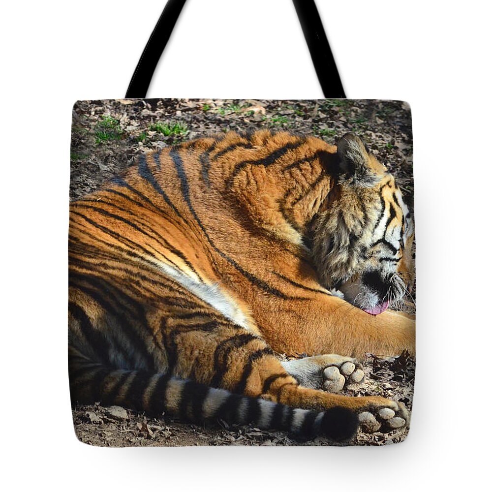 Tiger Tote Bag featuring the photograph Tiger Behavior by Sandi OReilly