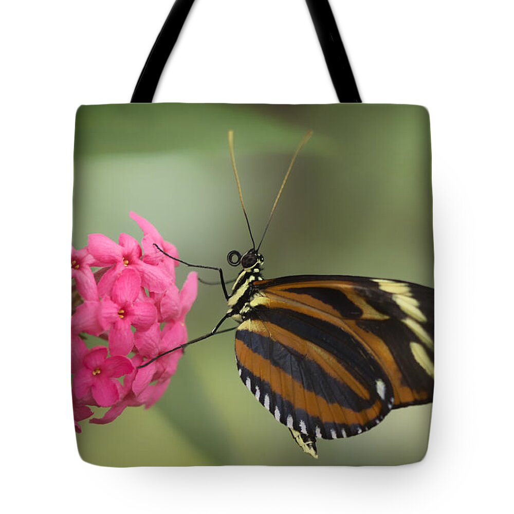 Butterfly Tote Bag featuring the photograph Tiger Longwing on Flower by Bill and Linda Tiepelman