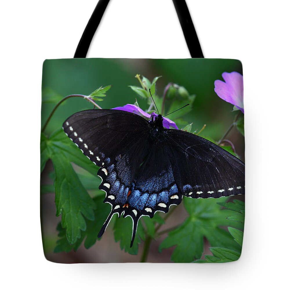 Butterfly Tote Bag featuring the photograph Tiger Swallowtail Female Dark Form On Wild Geranium by Daniel Reed