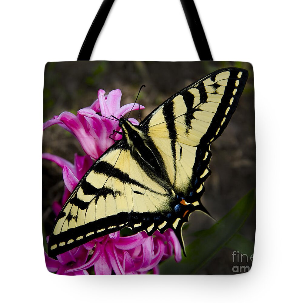 Pink Tote Bag featuring the photograph Tiger Swallowtail on pink Hyacinth by Jim And Emily Bush