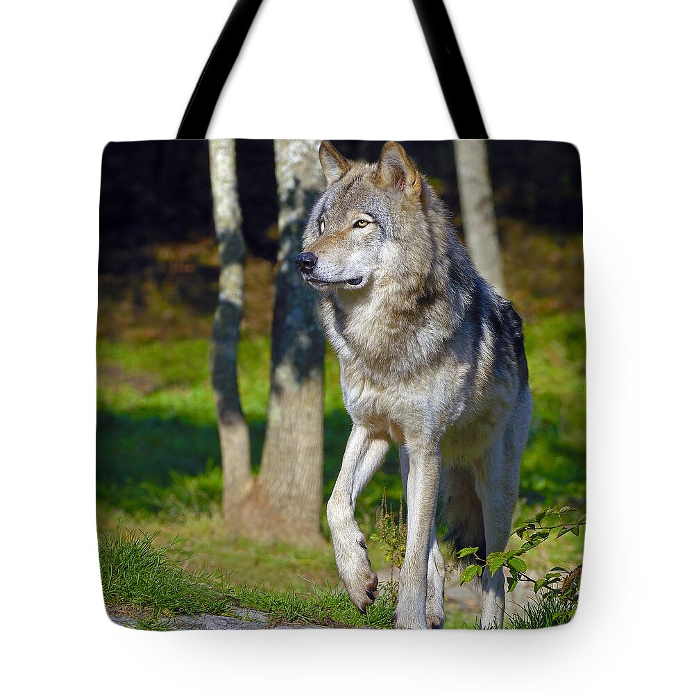 Timber Wolf Tote Bag featuring the photograph Timber Wolf by Tony Beck