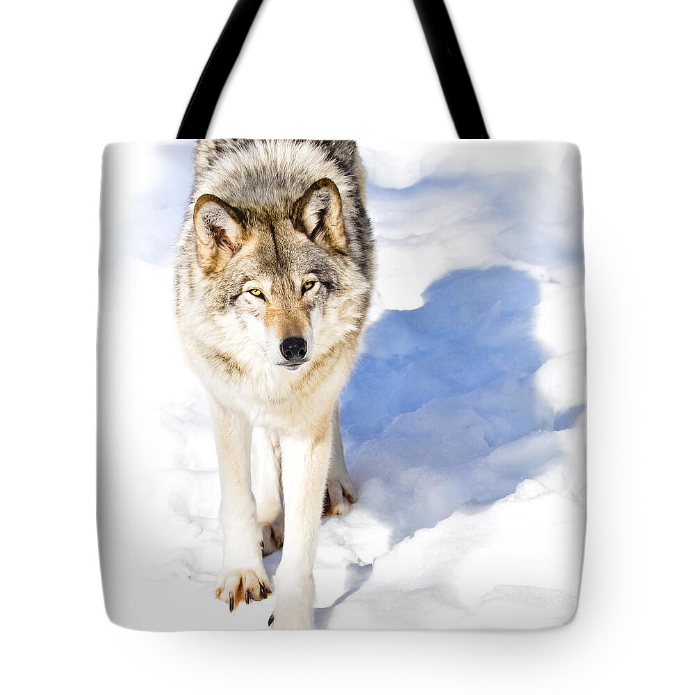 Timber Wolf Tote Bag featuring the photograph TimberWolf by Cheryl Baxter