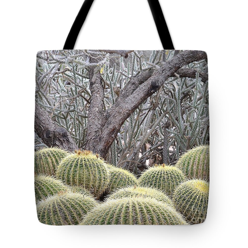 Cactus Tote Bag featuring the photograph Tree and Barrel Cactus by Rebecca Margraf