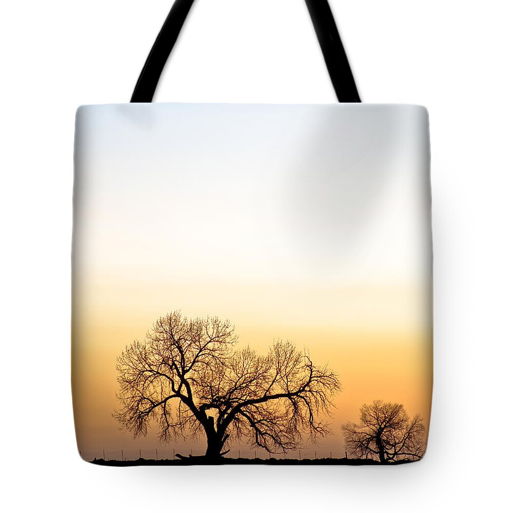 'boulder County' Tote Bag featuring the photograph Tree Harmony by James BO Insogna