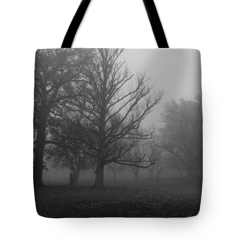 Trees Tote Bag featuring the photograph Trees and Fog by Maj Seda
