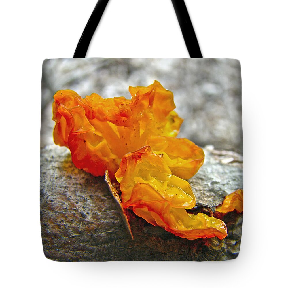 Mushroom Tote Bag featuring the photograph Tremella mesenterica - Orange Brain Fungus by Carol Senske