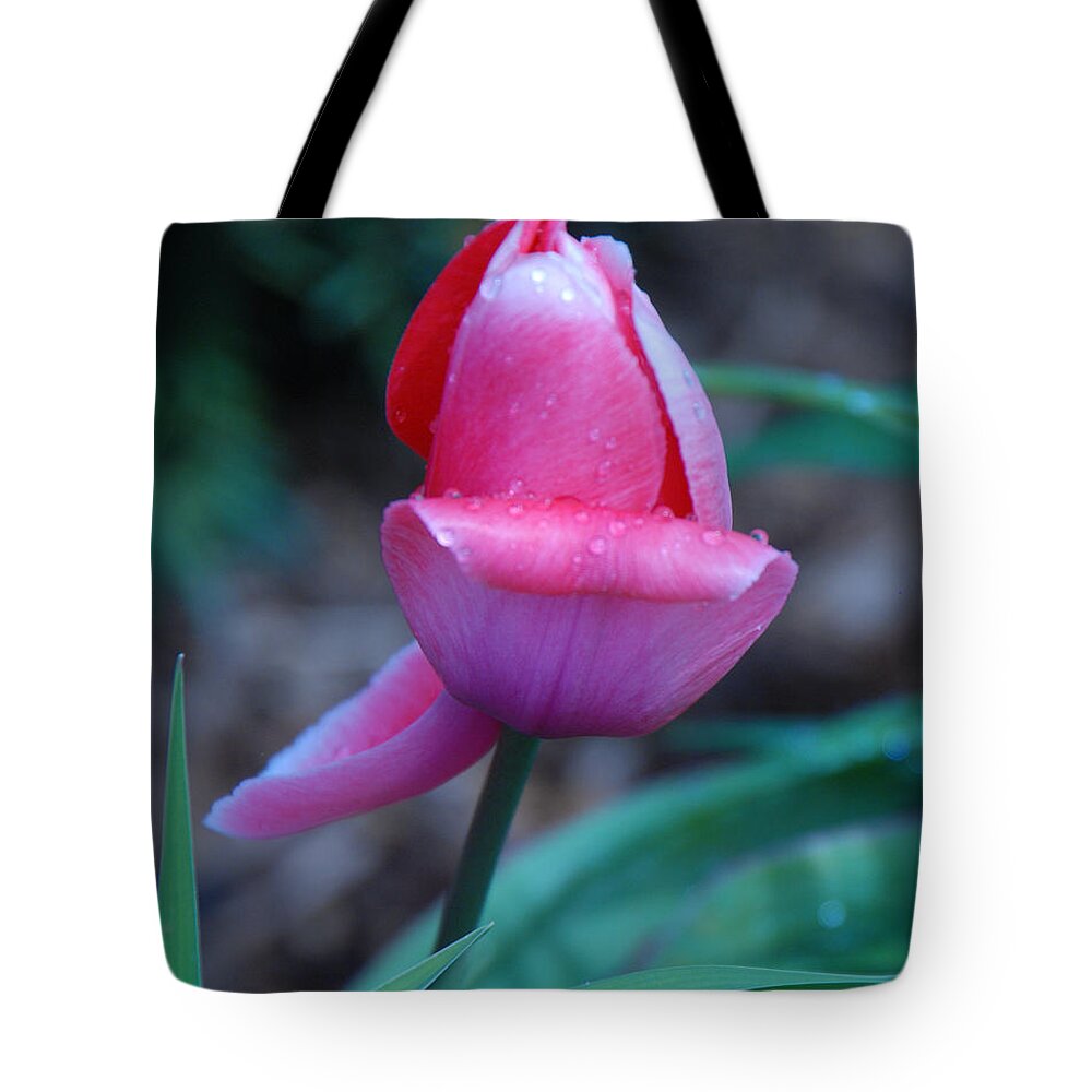 Tulip Tote Bag featuring the photograph Tulip After the Rain by Grace Grogan