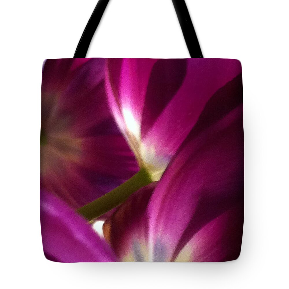 Tulips Tote Bag featuring the photograph Tulip Weave by Kathy Corday
