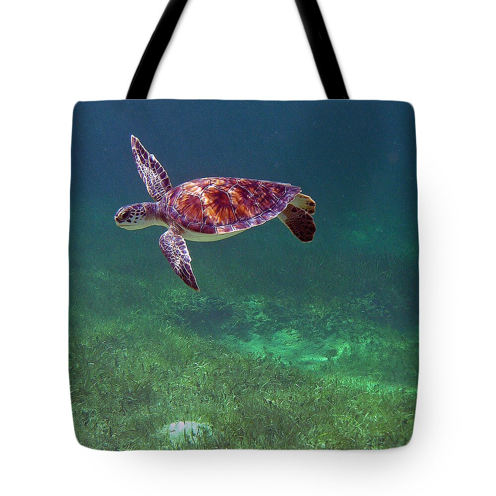 Sea Turtle Tote Bag featuring the photograph Turning in Light by Li Newton