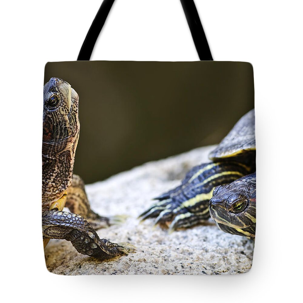 Turtles Tote Bag featuring the photograph Turtle conversation by Elena Elisseeva