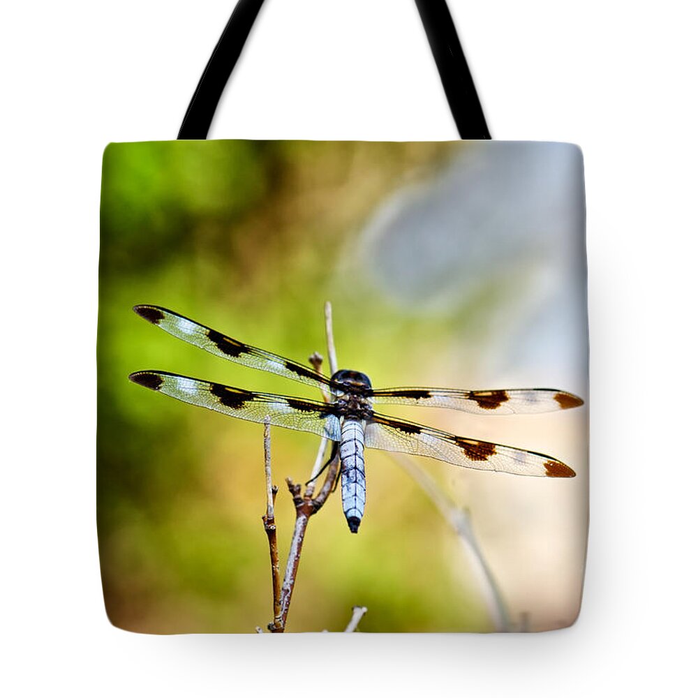 Twelve Spot Skimmer Dragonfly Tote Bag featuring the photograph Twelve-spotted Skimmer Dragonfly 4 by Betty LaRue