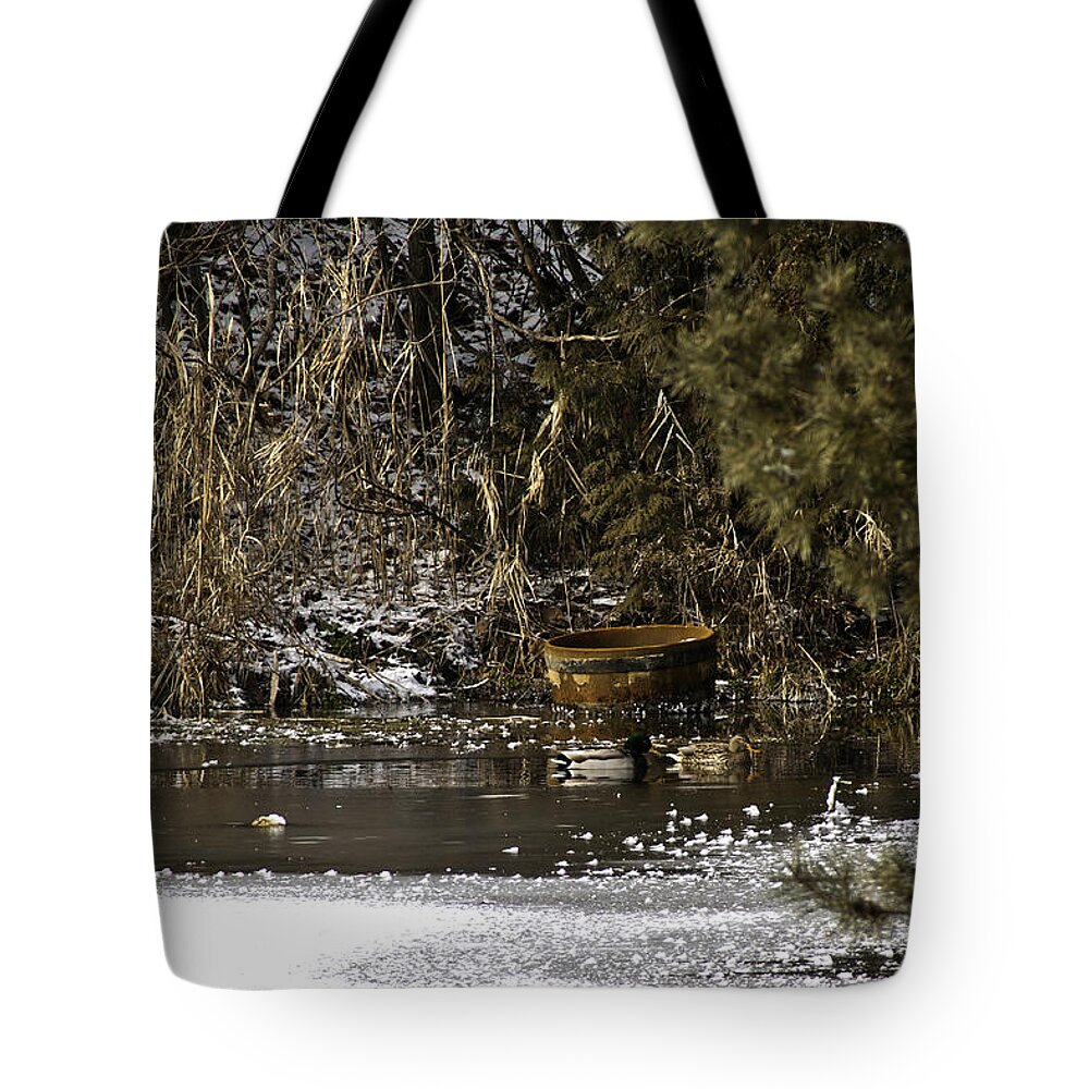 Usa Tote Bag featuring the photograph Two Ducks and a Tub by LeeAnn McLaneGoetz McLaneGoetzStudioLLCcom