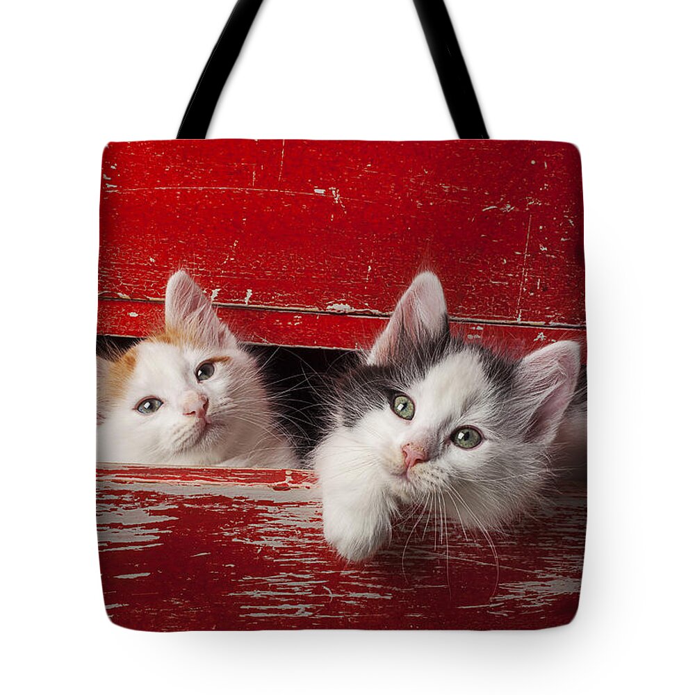 Two White Tote Bag featuring the photograph Two kittens in red drawer by Garry Gay