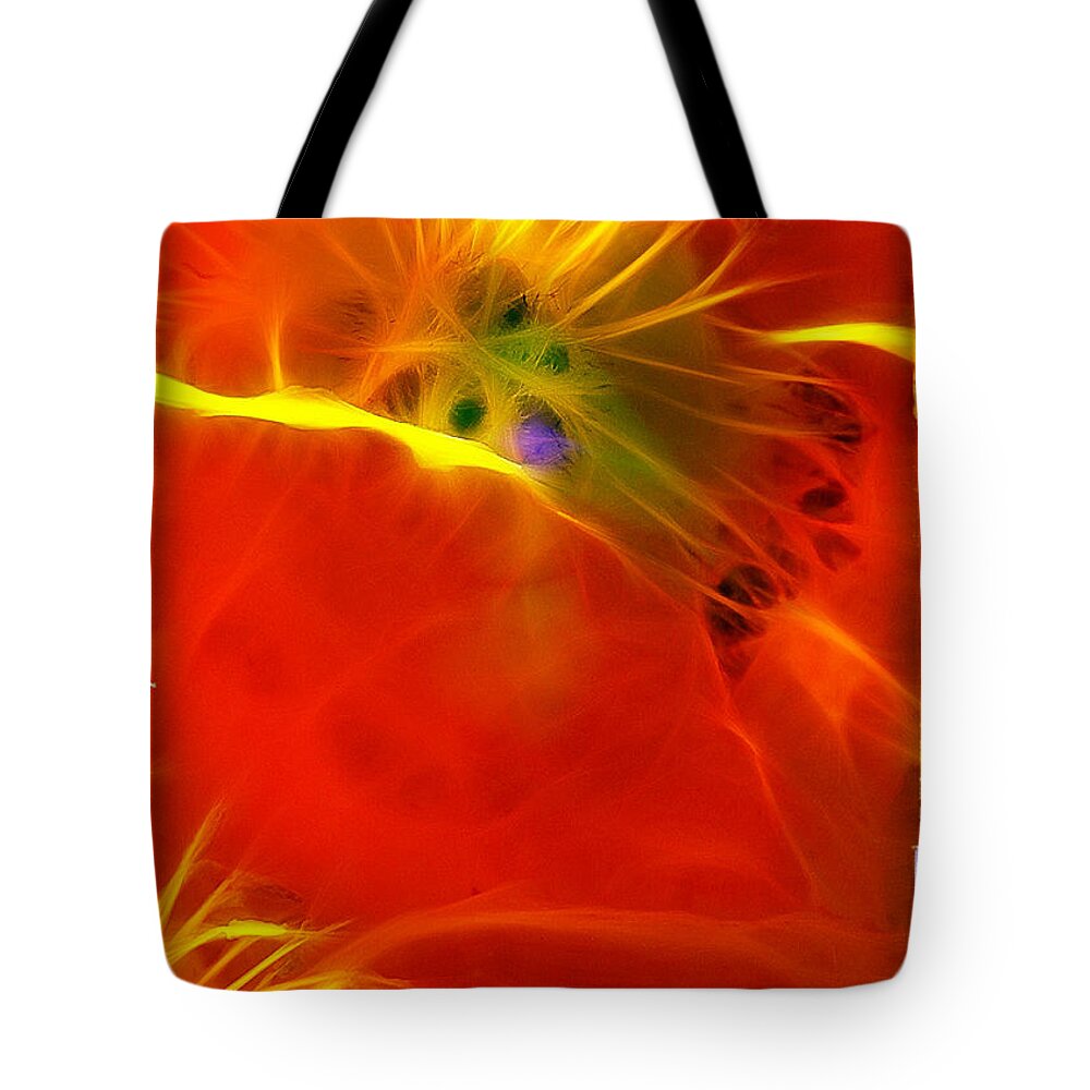 Poppies Tote Bag featuring the photograph Two Poppies by Judi Bagwell