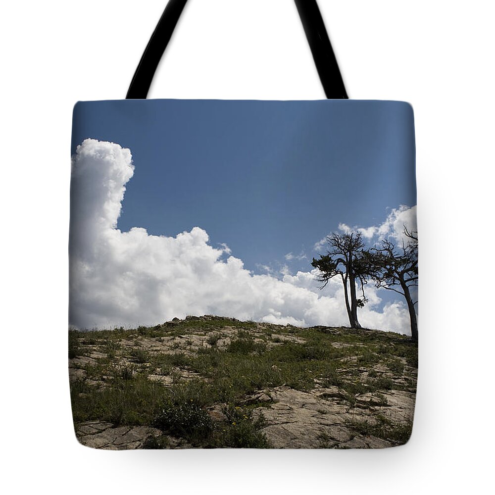 Trees Tote Bag featuring the photograph Two Trees of Many Glacier by Lorraine Devon Wilke