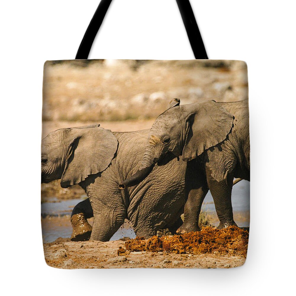A Baby Elephants Play Tote Bag featuring the photograph Two up by Alistair Lyne