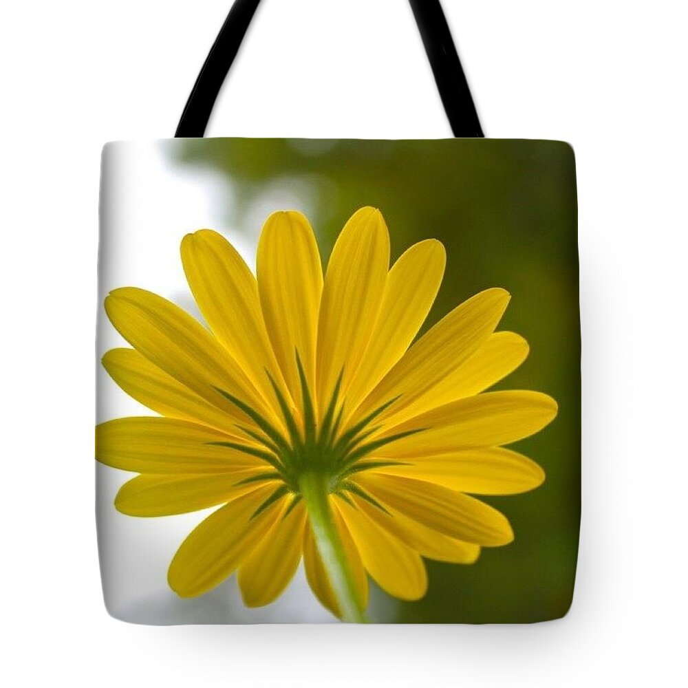 Yellow Tote Bag featuring the photograph Underside by Justin Connor