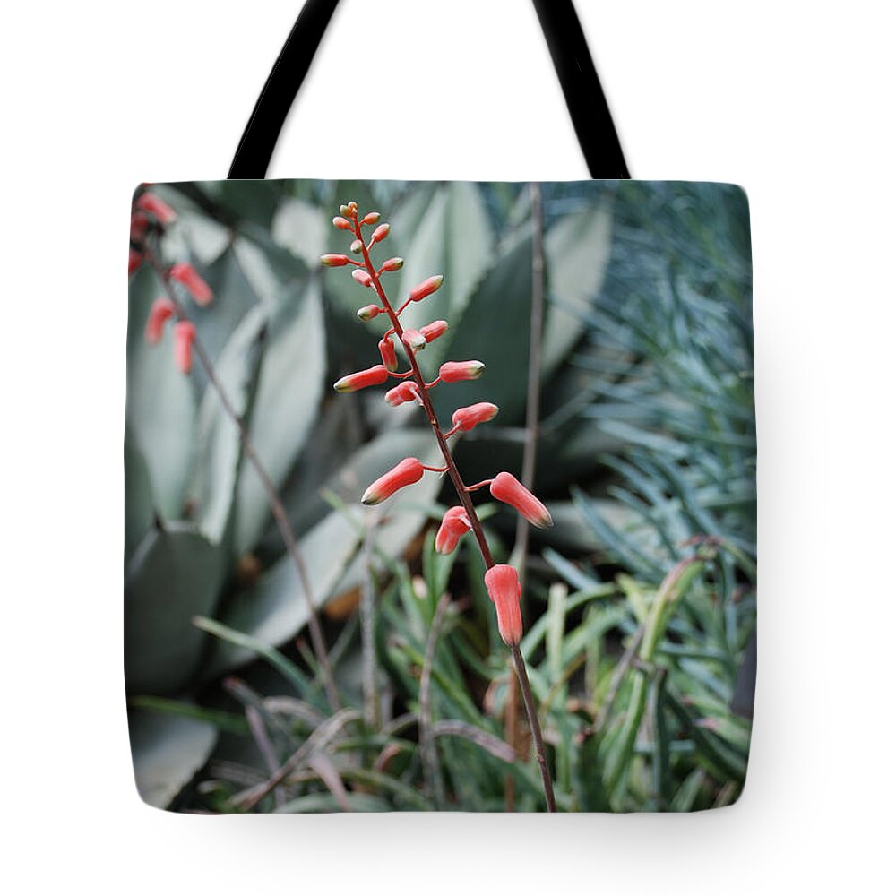 Flower Tote Bag featuring the photograph Unique Flower by Jennifer Ancker