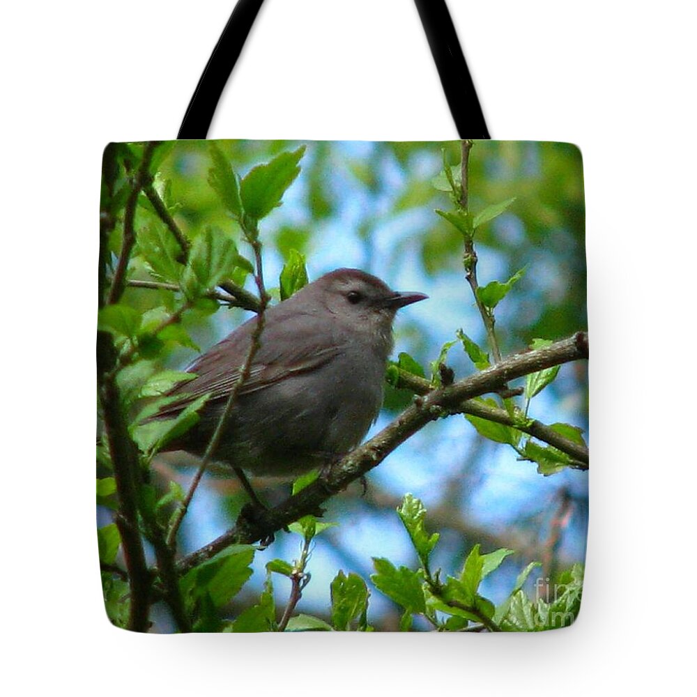Bird Tote Bag featuring the photograph pretty in Tennessee by Lani Richmond Elvenia