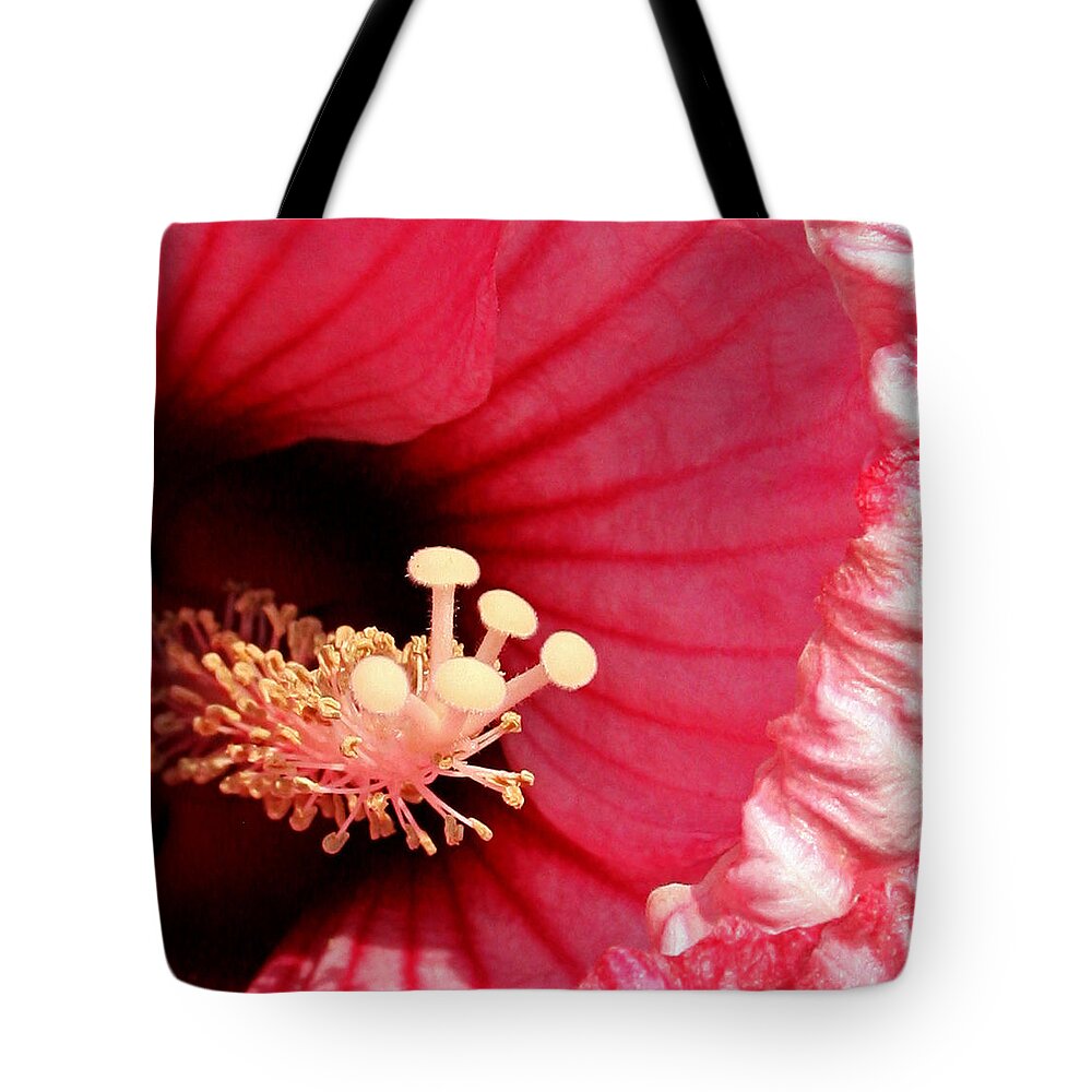 Hibiscus Tote Bag featuring the photograph Unusual View by Karen Harrison Brown