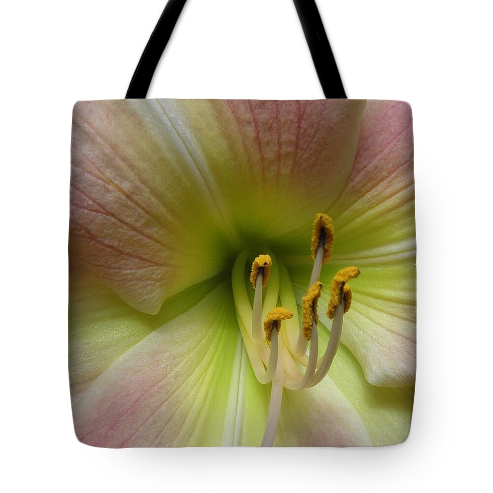 Lily Tote Bag featuring the photograph Up Close And Personal Beauty by Kim Galluzzo Wozniak