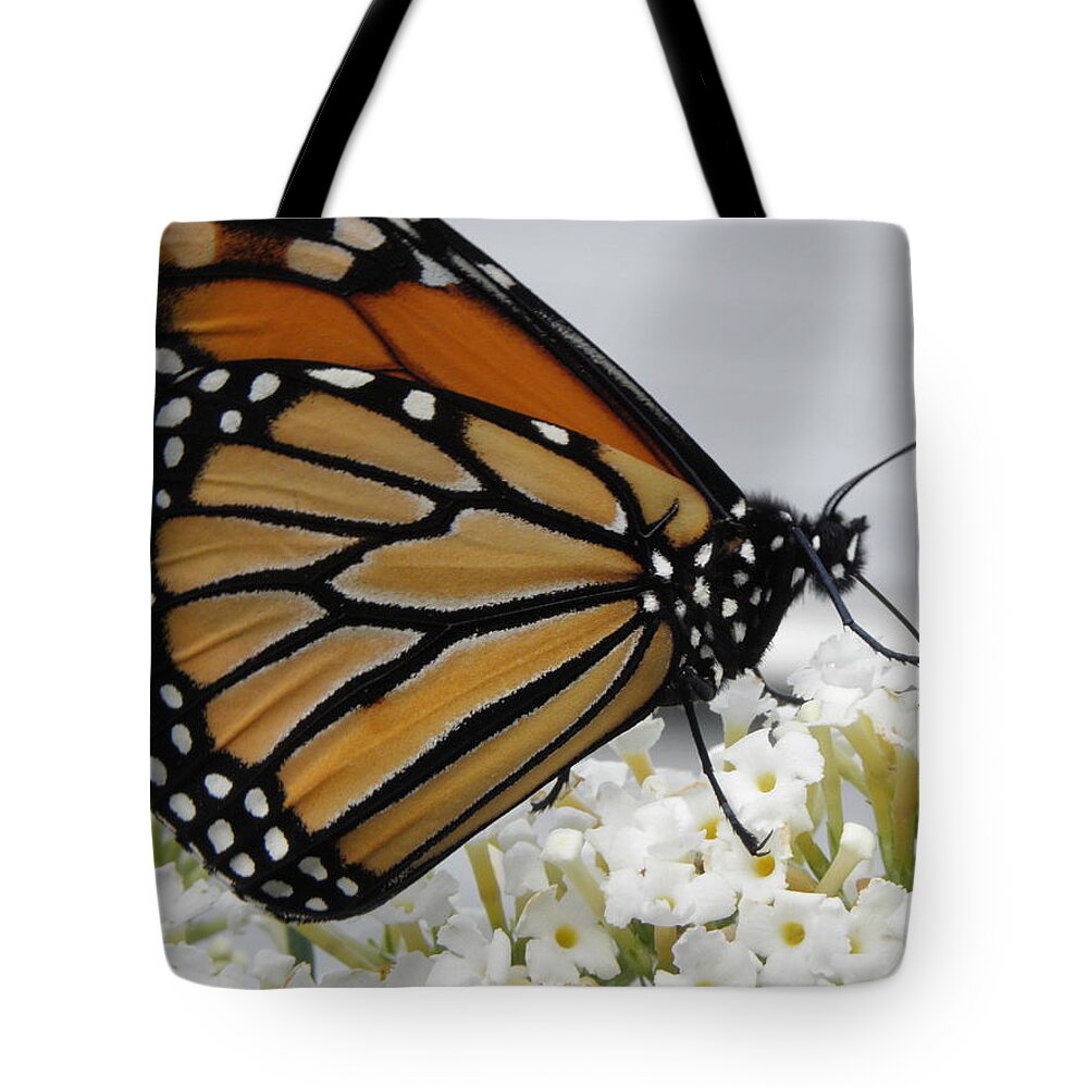 Monarch Tote Bag featuring the photograph Up Close And Personal by Kim Galluzzo Wozniak