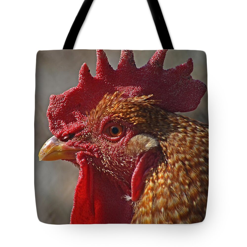 Landscape Tote Bag featuring the photograph Urban Rooster by Lisa Phillips