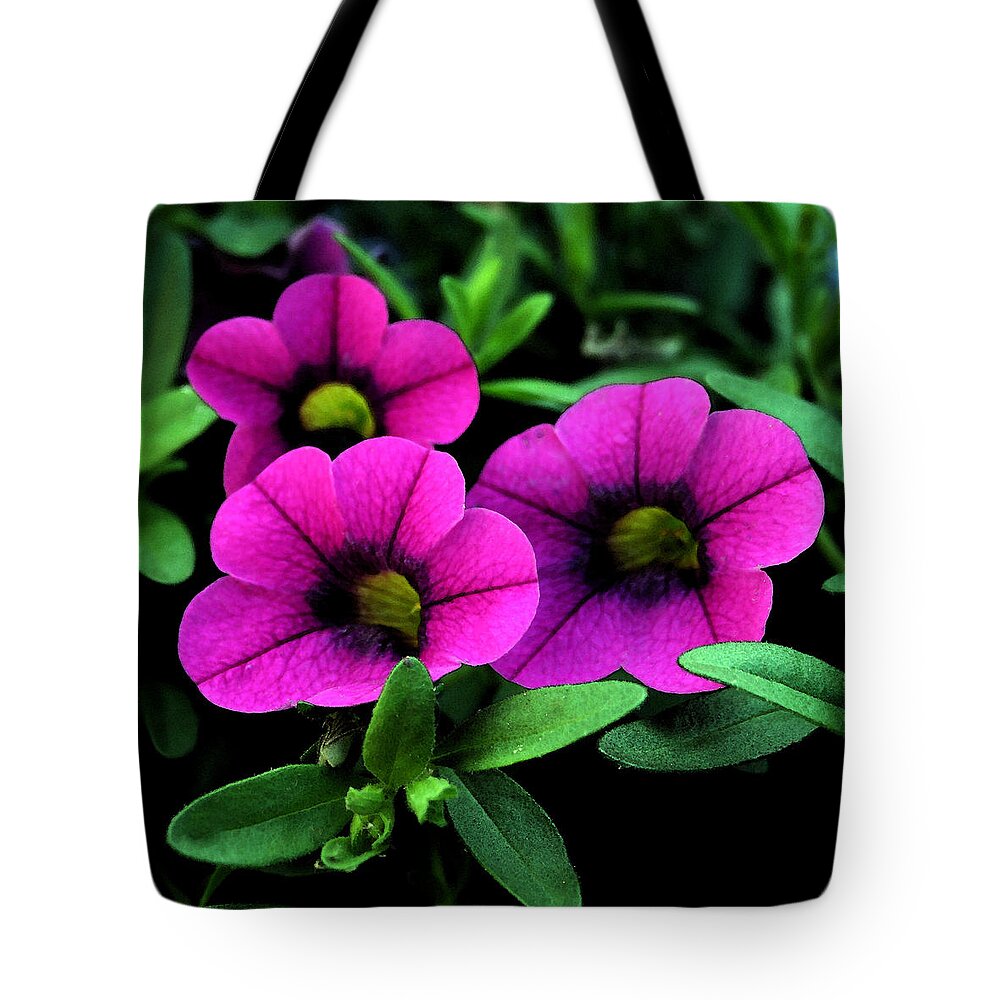 Watercolor Tote Bag featuring the painting Vibrant Pink by Karen Harrison Brown