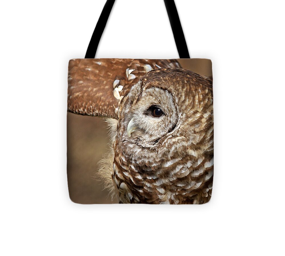Owls. Barred Owls Tote Bag featuring the photograph Vilma In The Wind by Pat Abbott
