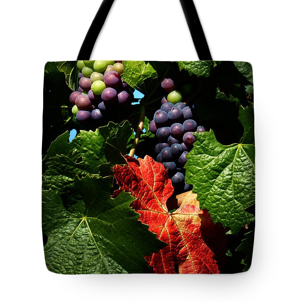 Vineyard Tote Bag featuring the photograph Vineyard 32 by Xueling Zou