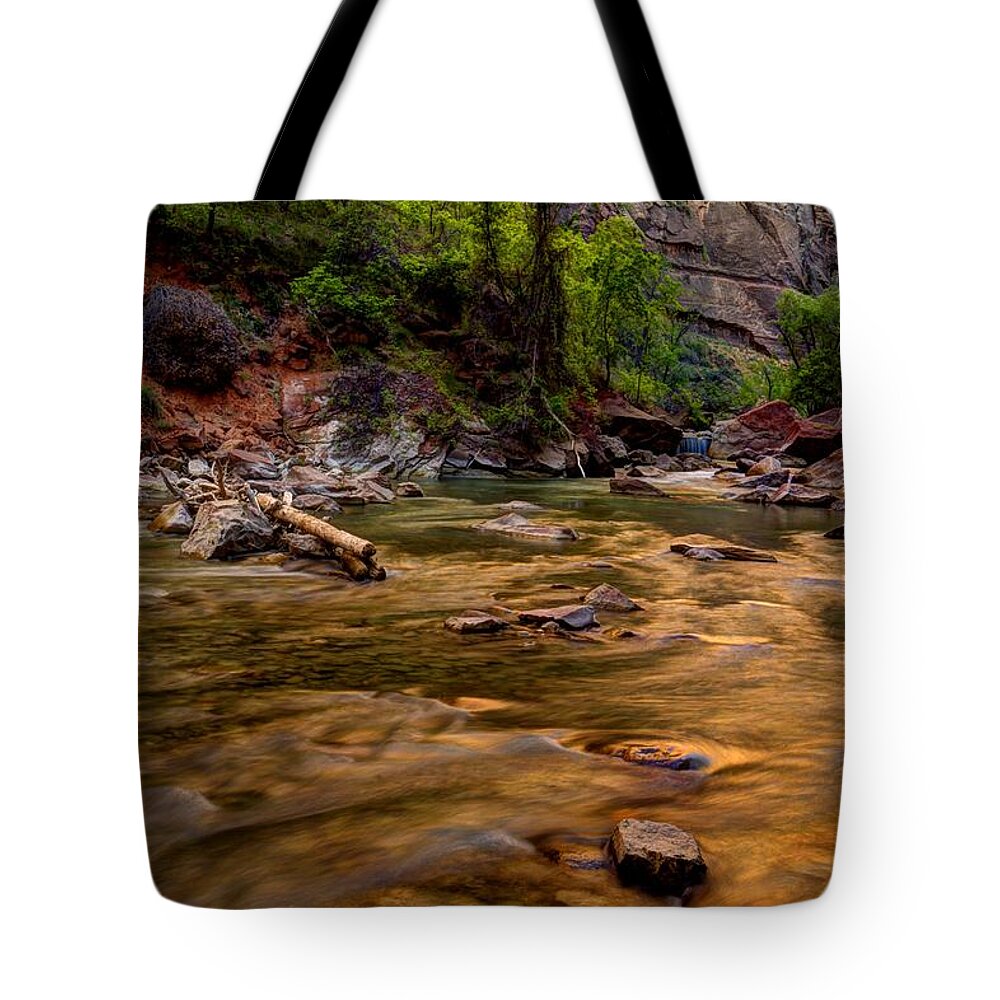 Zion Tote Bag featuring the photograph Virgin River Zion by Jonathan Davison