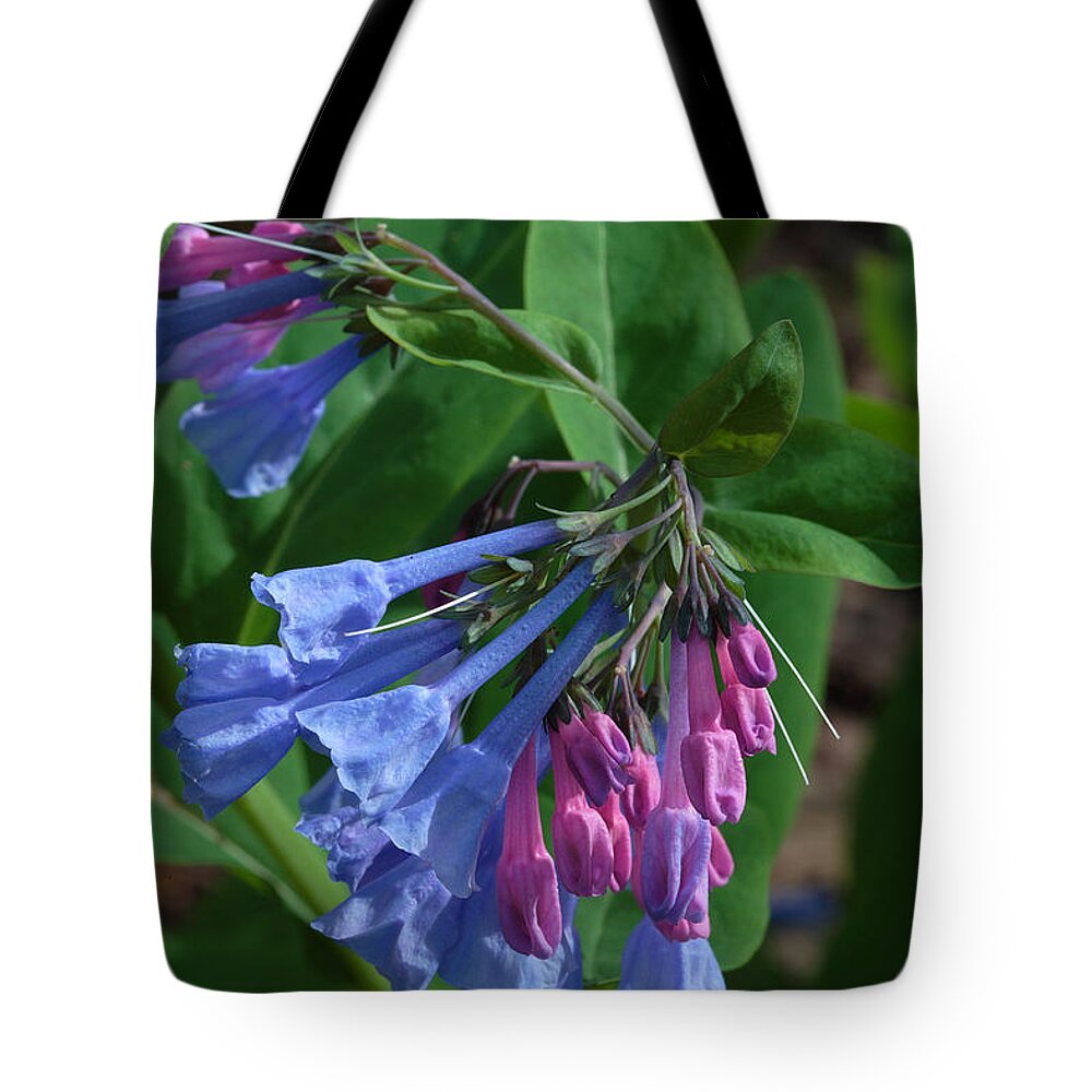 Flower Tote Bag featuring the photograph Virginia Bluebells by Daniel Reed