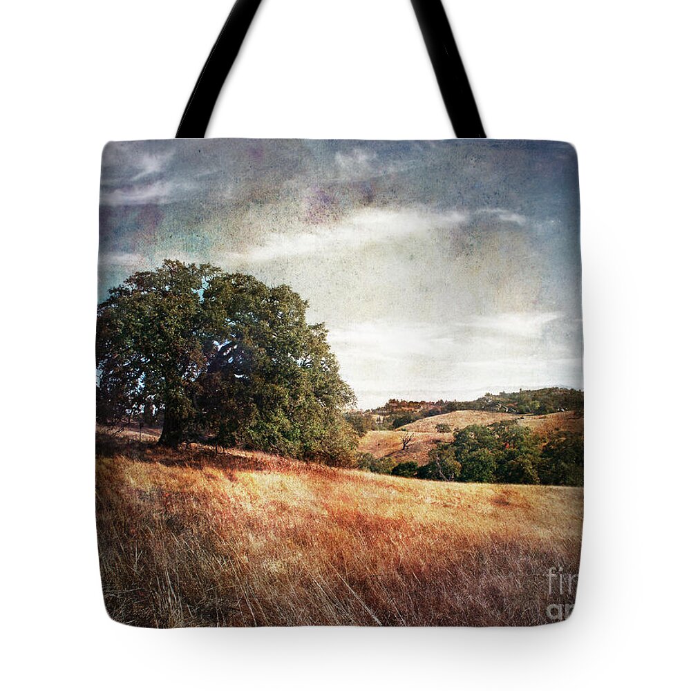 Palo Alto Tote Bag featuring the photograph Vista of Distant Memory by Laura Iverson