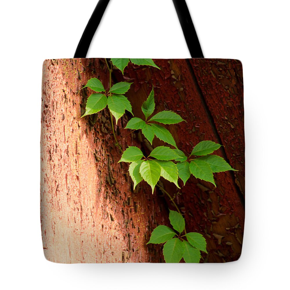 Vitis Tote Bag featuring the photograph Vitis by Michael Goyberg