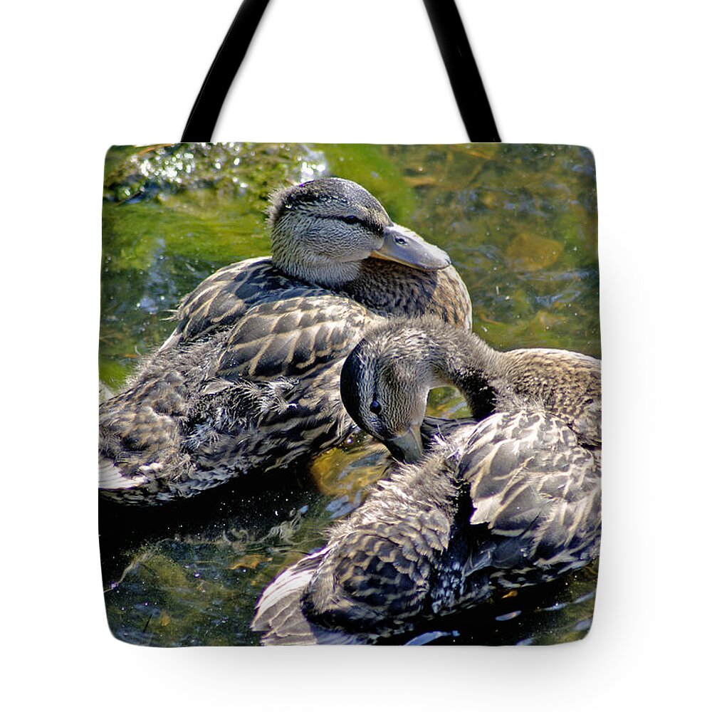 2d Tote Bag featuring the photograph Wading by Brian Wallace