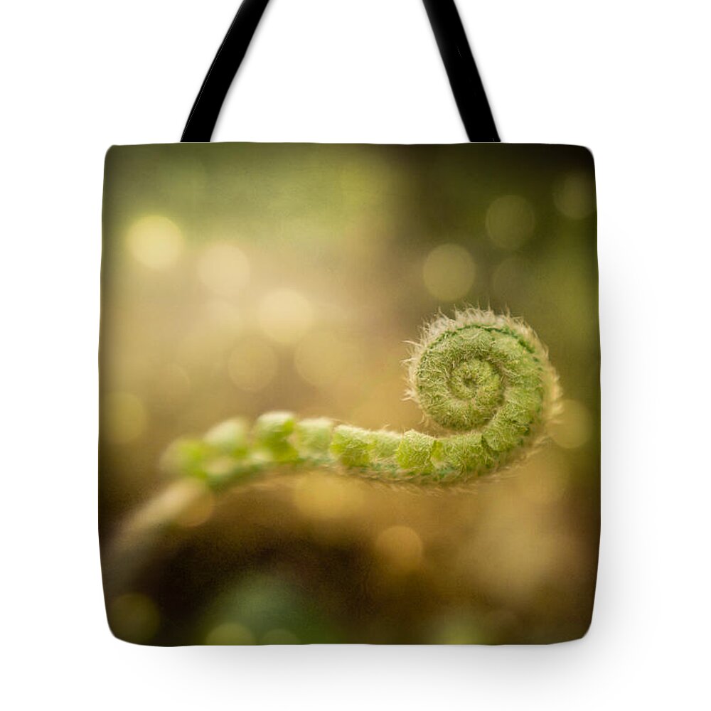 Spring Tote Bag featuring the photograph Waiting to Unwind by Joye Ardyn Durham