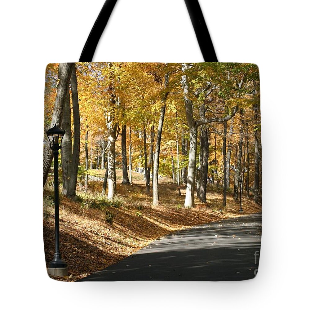 Autumn Tote Bag featuring the photograph Walk This Way by Living Color Photography Lorraine Lynch