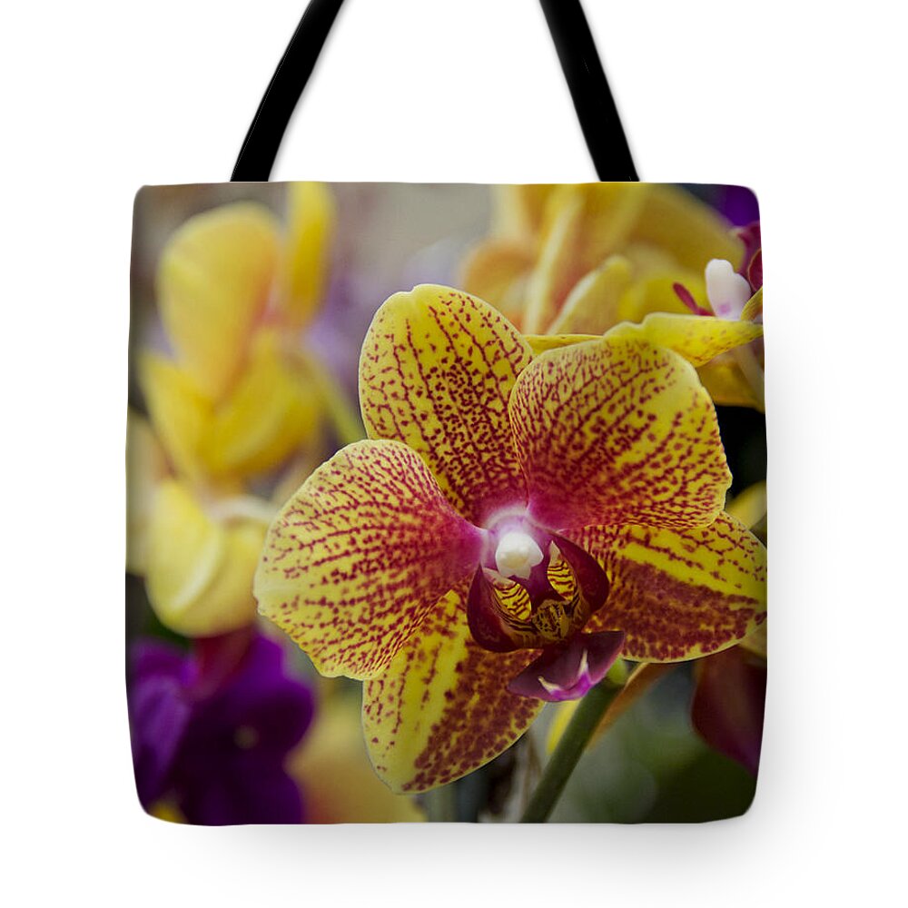Exotic Tote Bag featuring the photograph Walking On Sunshine by Angelina Tamez