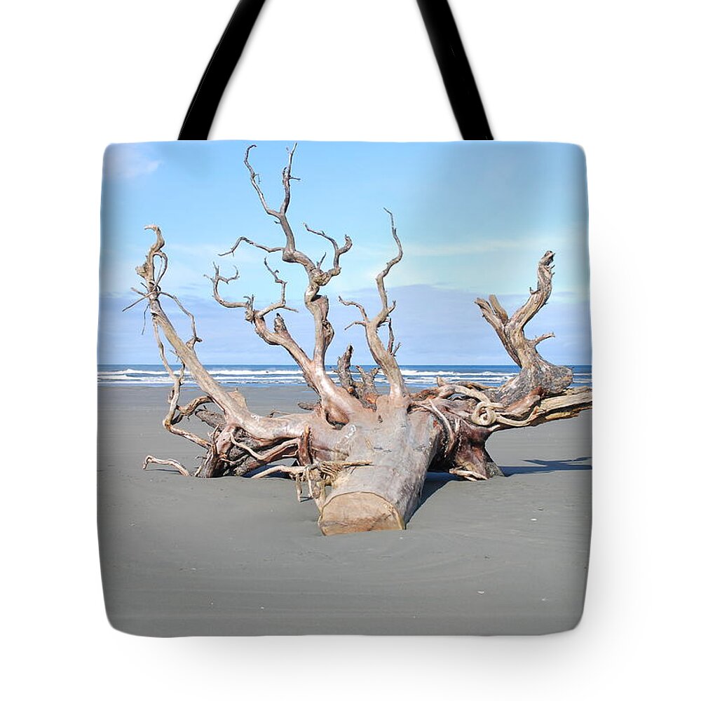 Beach Tote Bag featuring the photograph Washed Up by Michael Merry