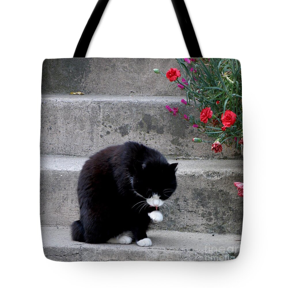 Cat Tote Bag featuring the photograph Washing Up by Lainie Wrightson