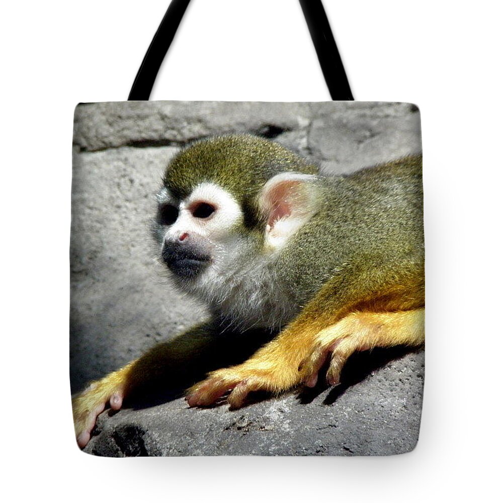 Monkey Tote Bag featuring the photograph Watching Over by Kim Galluzzo