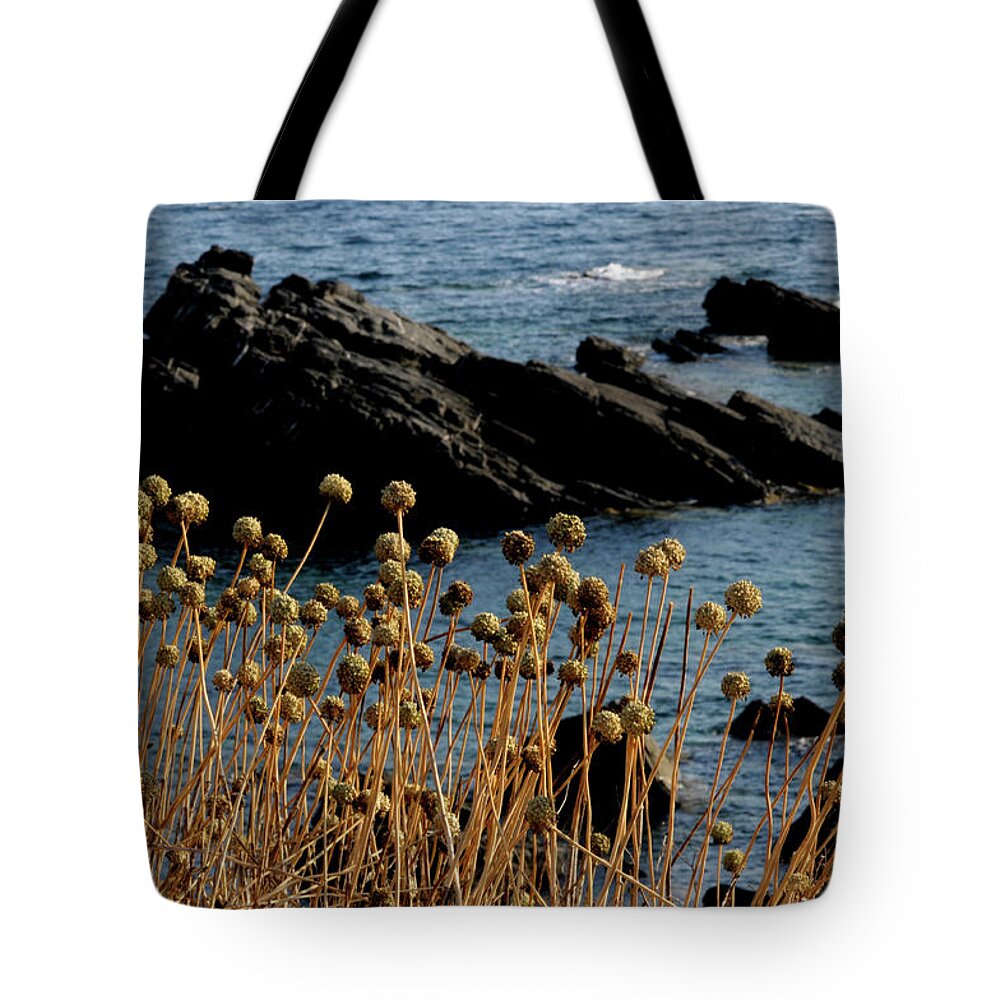 Blue Tote Bag featuring the photograph Watching The Sea 1 by Pedro Cardona Llambias