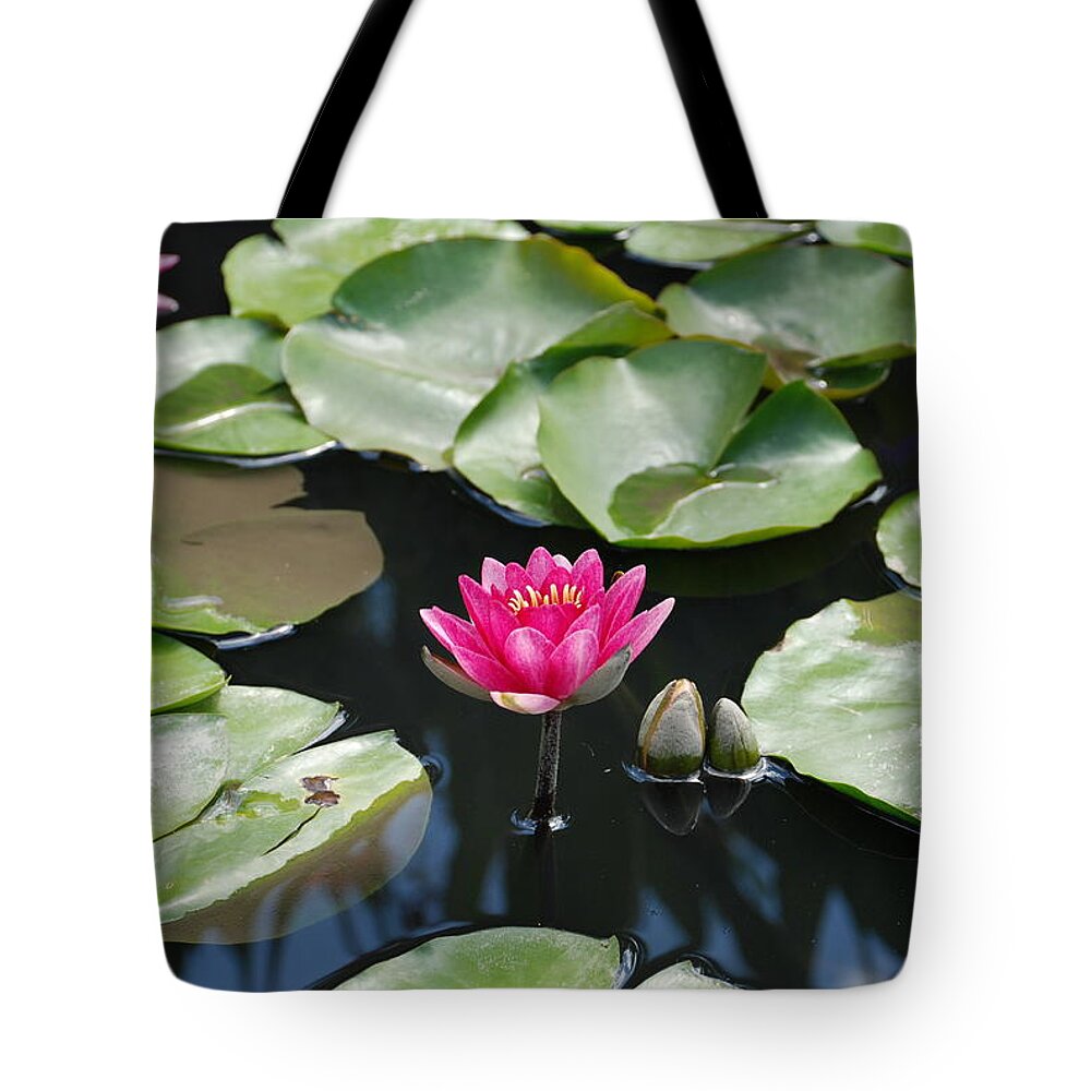 Water Lilies Tote Bag featuring the photograph Water Lilies by Jennifer Ancker