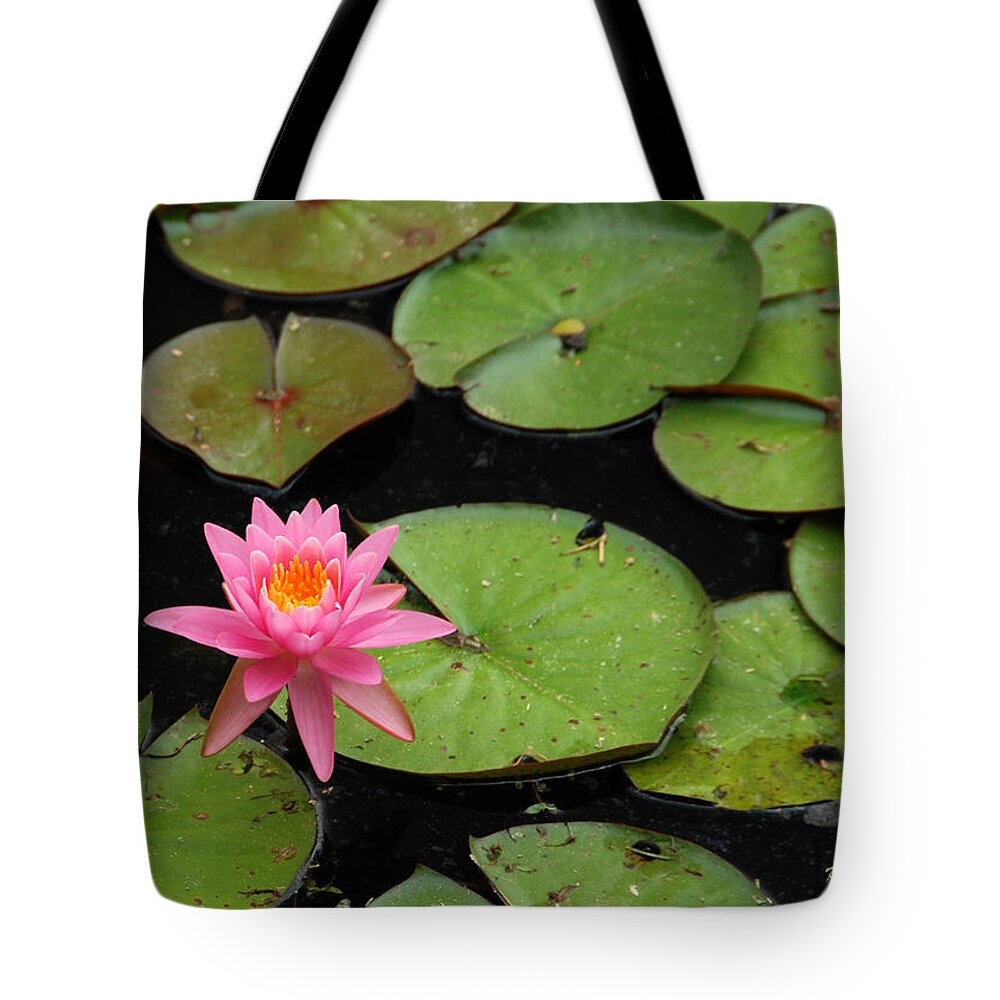 Pink Water Lily Tote Bag featuring the photograph Water Lily by Kay Lovingood