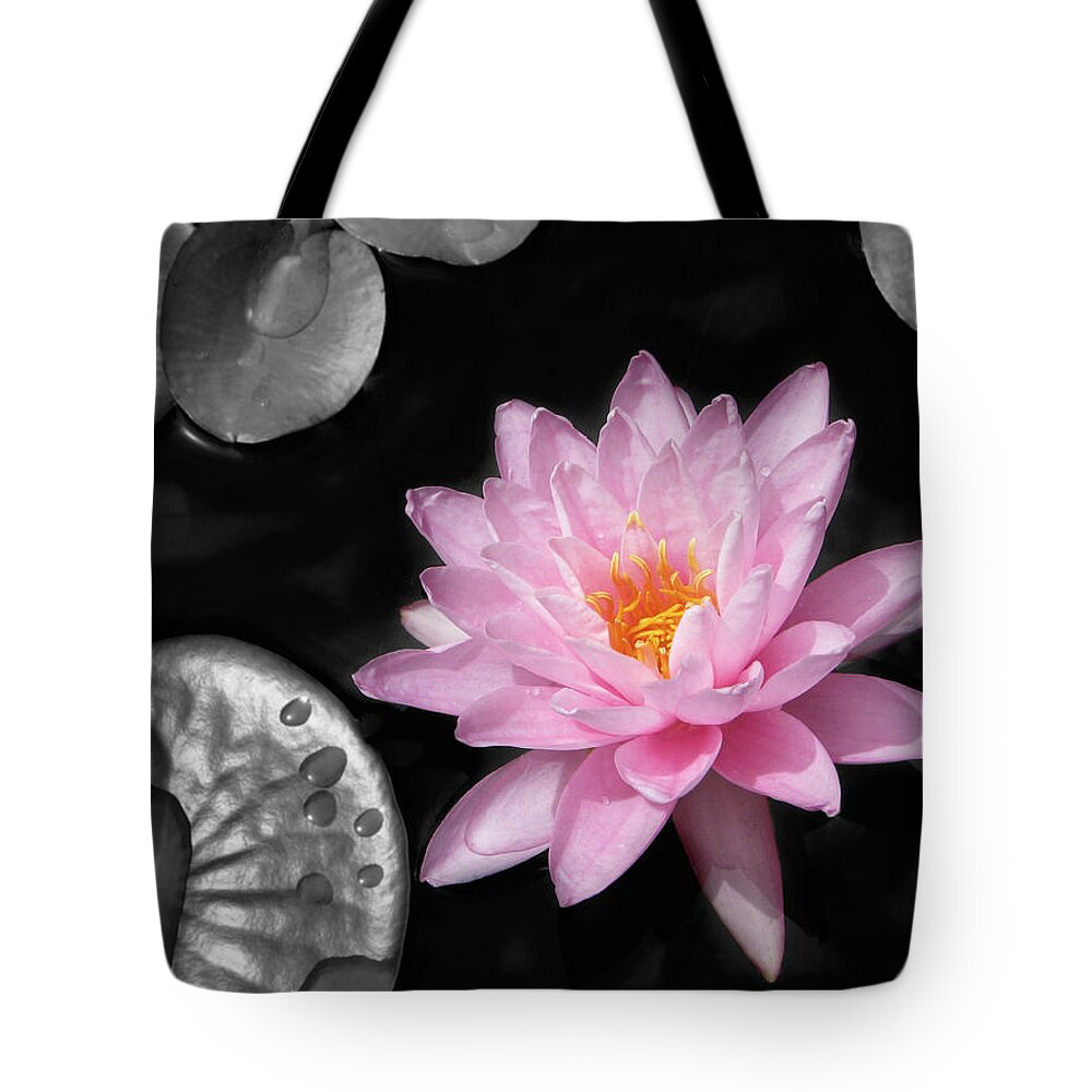 Dreaming Tote Bag featuring the photograph Water Lily by Rudy Umans