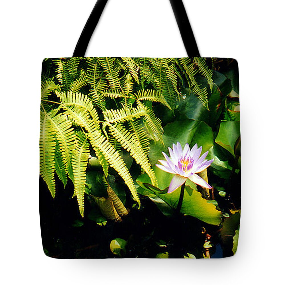 Water Lily Tote Bag featuring the photograph Water Lily With Ferns by Jerome Stumphauzer