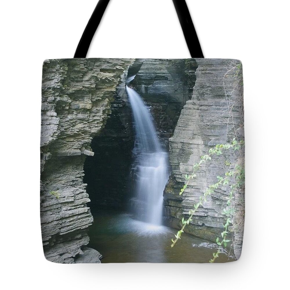 Watkins Glen Tote Bag featuring the photograph Watkins Glen B  by Justin Connor